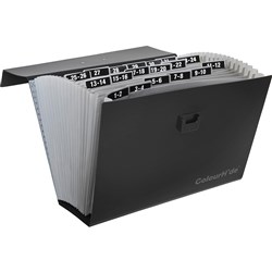 (ACO-90023002J) - ColourHide Expanding Carry File 