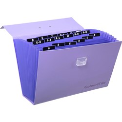 (ACO-90023019J) - ColourHide Expanding Carry File 