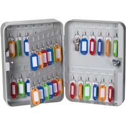  Esselte Key Cabinet 48 Keys Grey 