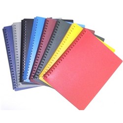 (BTS-242) - REFILLABLE DISPLAY BOOK A4 20P ASSORTE