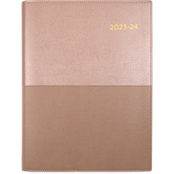 Collins Vanessa Financial Year Diary A5 1 Day to Page 1 Hour Champagne