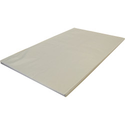 Austpaper Tissue Paper 400x660mm White 500 Sheets Ream