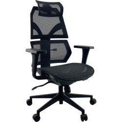 NTR Sonic Boom Executive Mesh Chair with Headrest