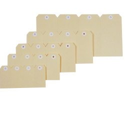 ESSELTE SHIPPING TAGS No.8 80x160mm Box of 1000
