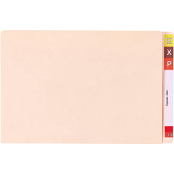 AVERY LATERAL FILES A4 Extra Heavy Weight Buff