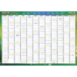 WRITERAZE RECYCLD WALL PLANNER 11880 500x700mm Year/View