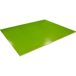 RAINBOW SURFACE BOARD Double Sided Light Green Pack of 20