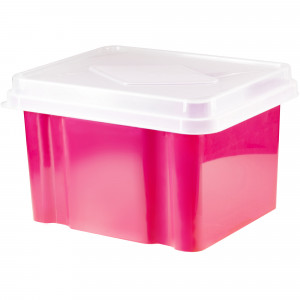 Italplast Storage - File Box Watermelon Base - Clear Lid